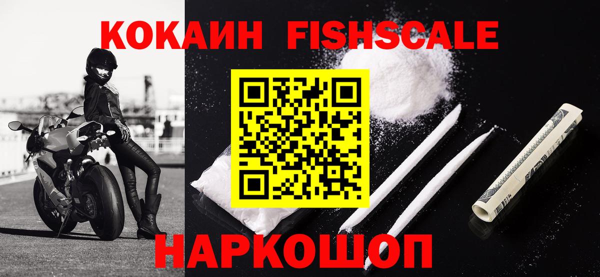 Cocaine Fish Scale  Cocaine Fish Scale  Вход с VPN  Обнинск 